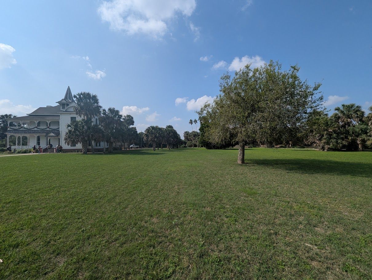 Sabal Palm Sanctuary in Brownsville